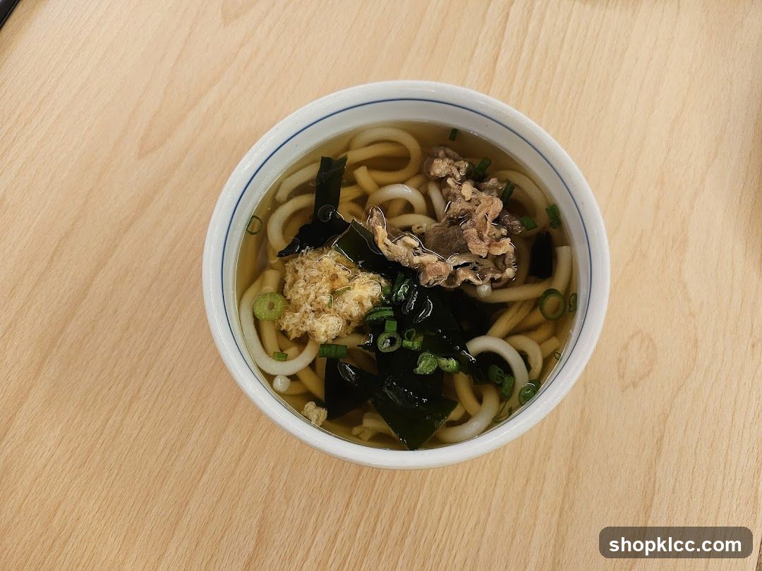 Beef Udon Soup