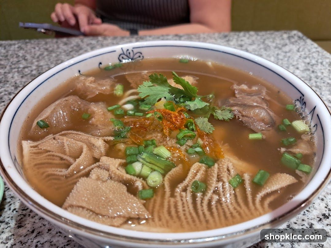 Beef Tripe Noodle Soup