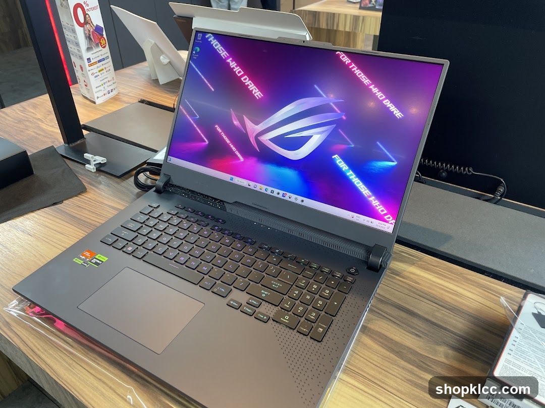 Gaming Laptop Display