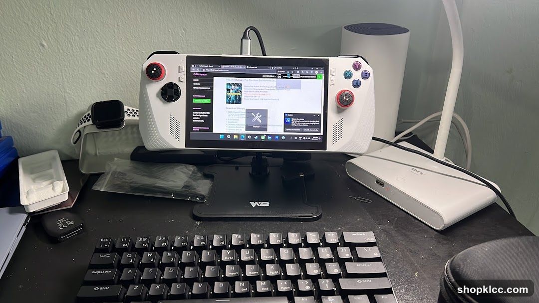 Gaming Handheld Setup