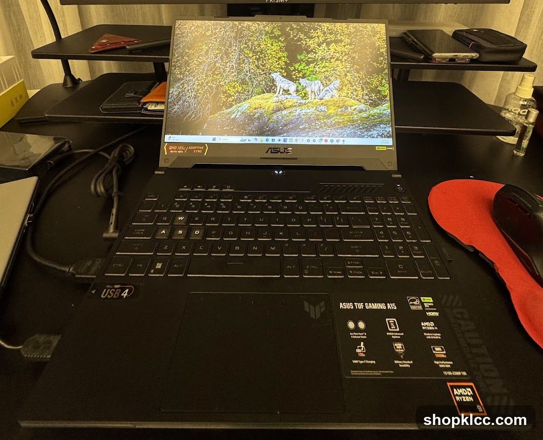 Gaming Laptop Setup