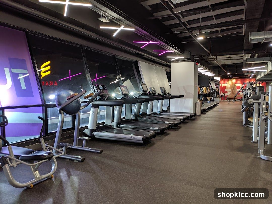 Celebrity Fitness Club