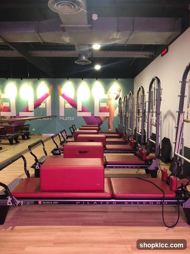 Celebrity Fitness Club