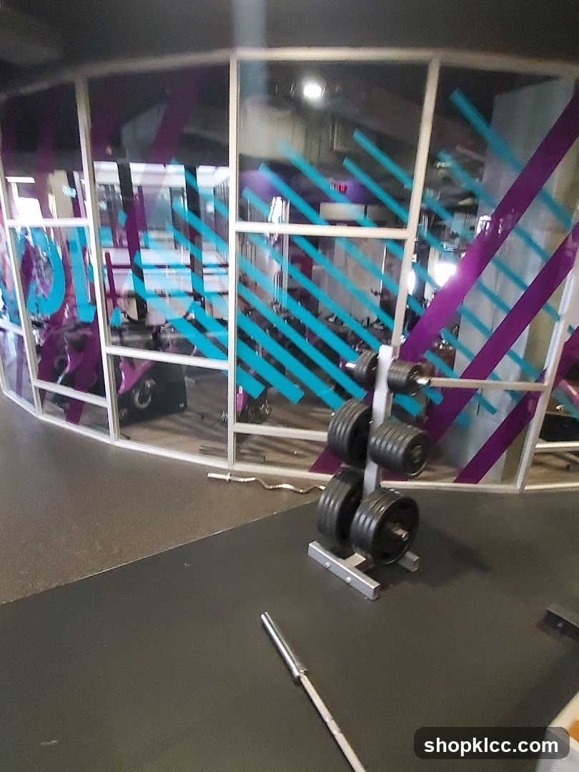 Gym Interior with Weight Rack