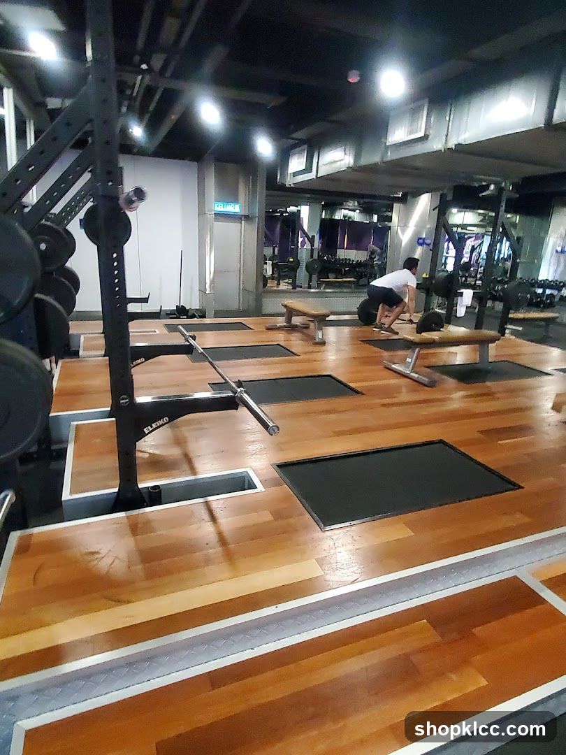 Gym Weightlifting Area