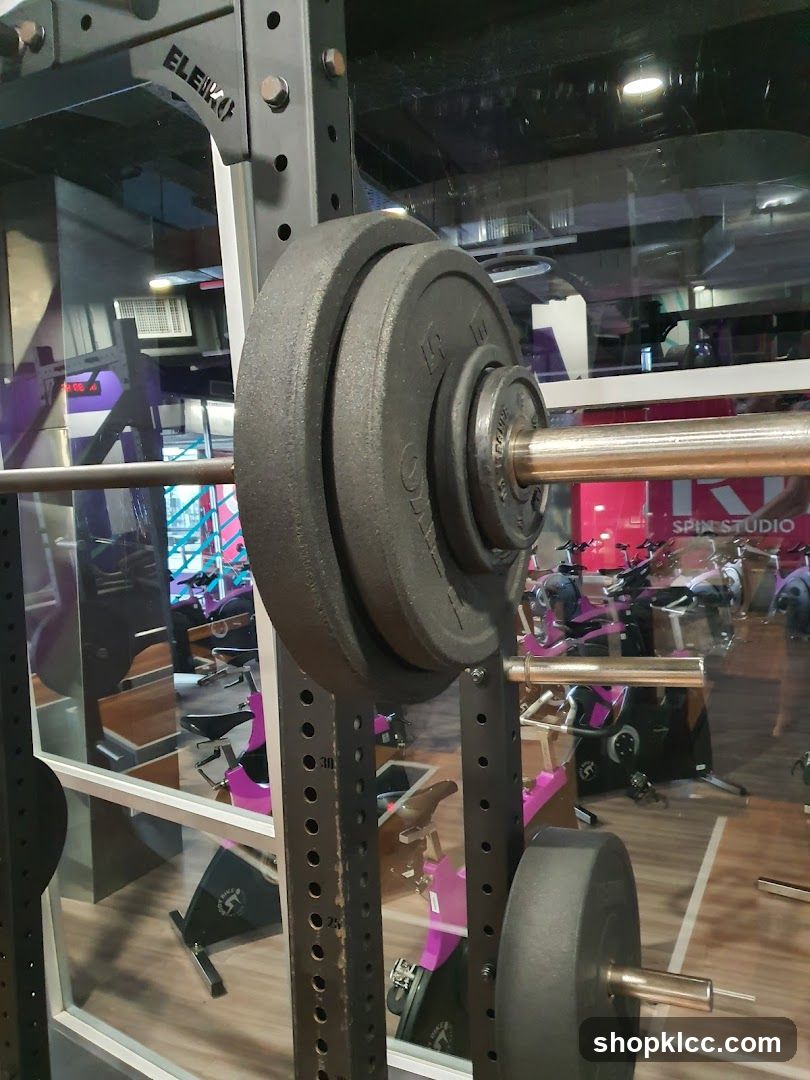 Gym Equipment
