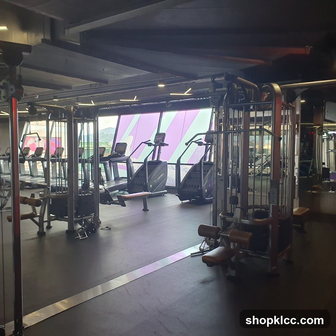 Gym Equipment