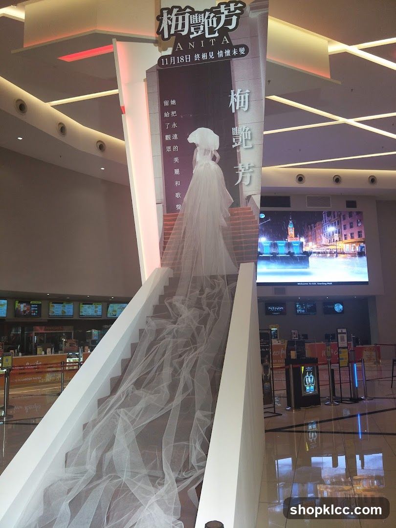 Anita movie promotion