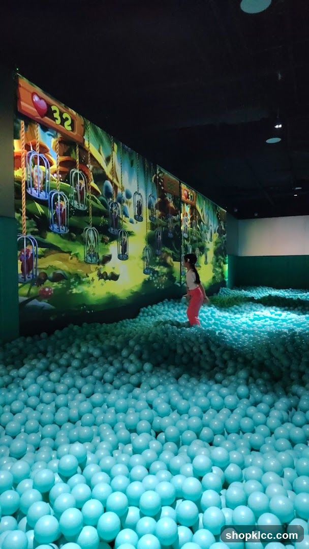 Ball Pit with Interactive Wall
