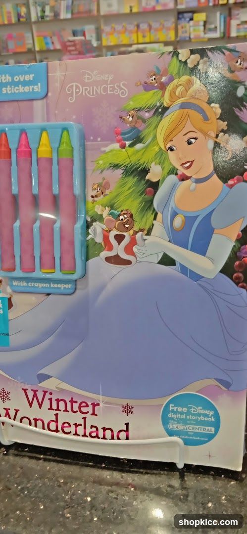 Disney Princess Winter Wonderland Activity Book