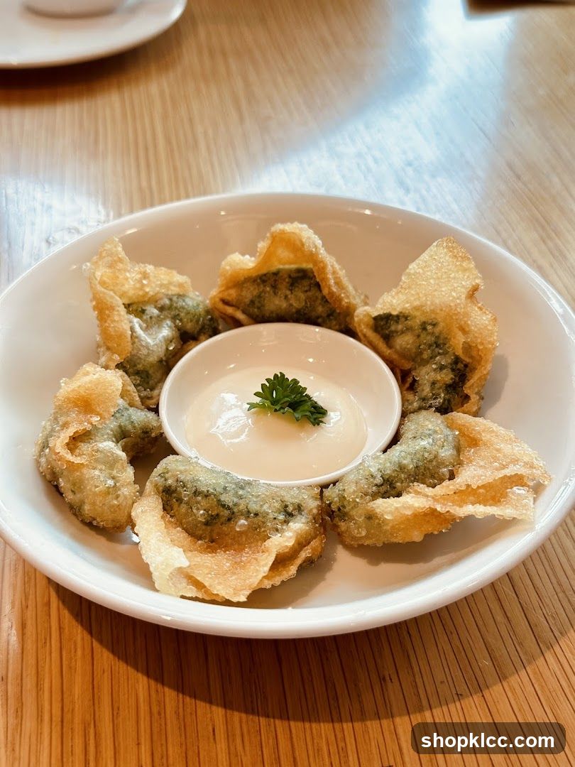 Fried Dumplings with Dip