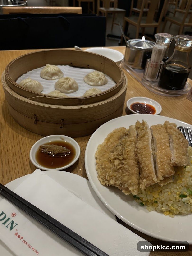 Soup Dumplings and Fried Chicken with Rice