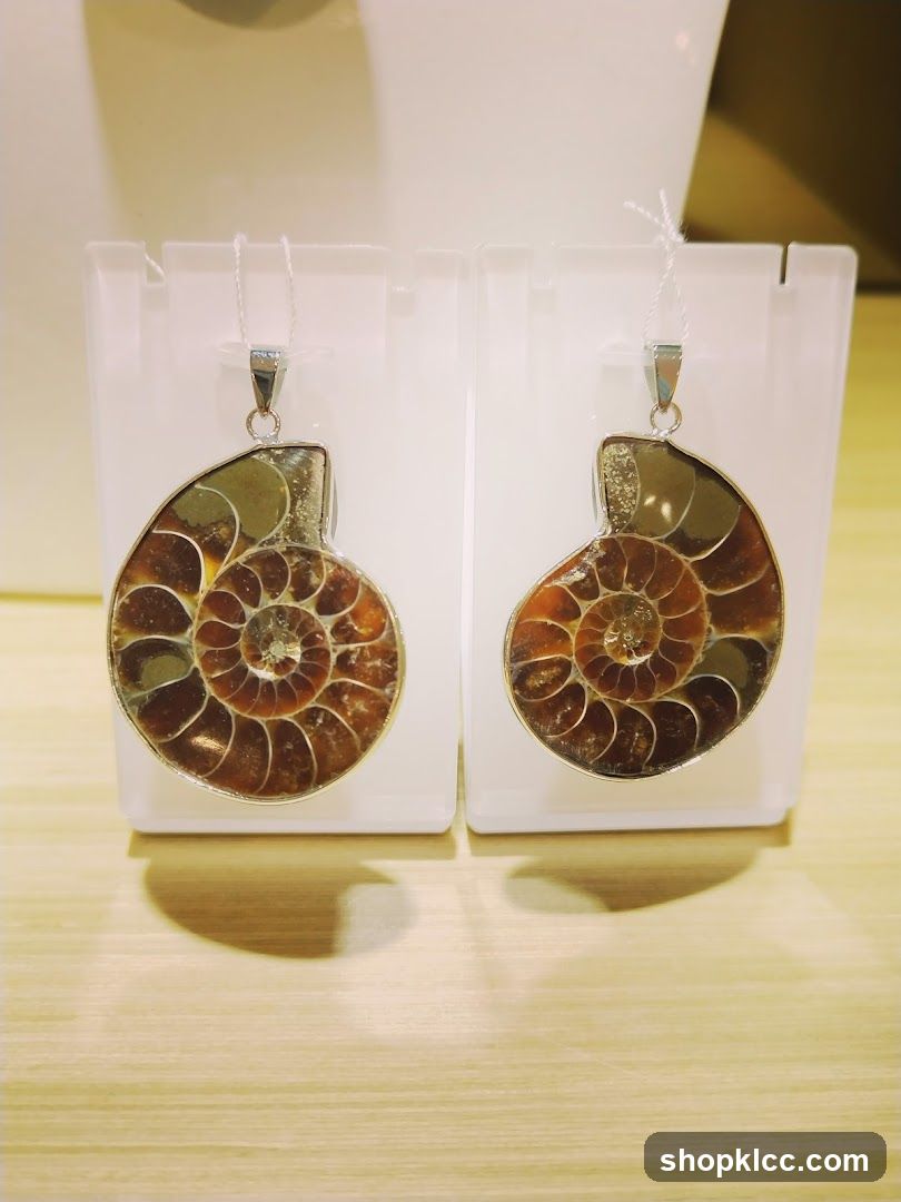 Ammonite Pendants