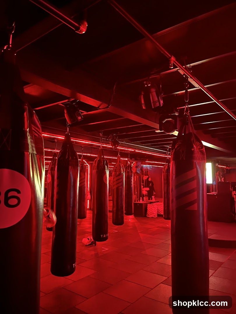 Tribe Boxing Studio