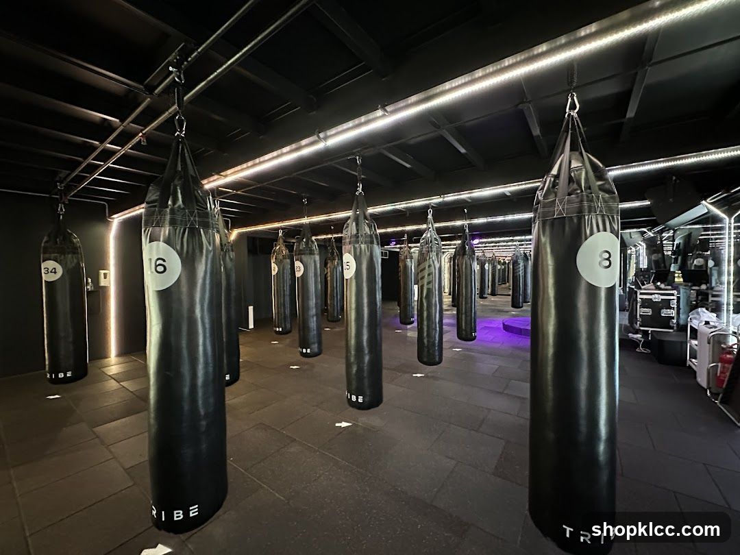 Tribe Boxing Studio