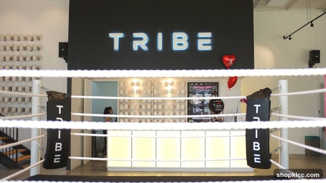 Tribe Boxing Gym Interior