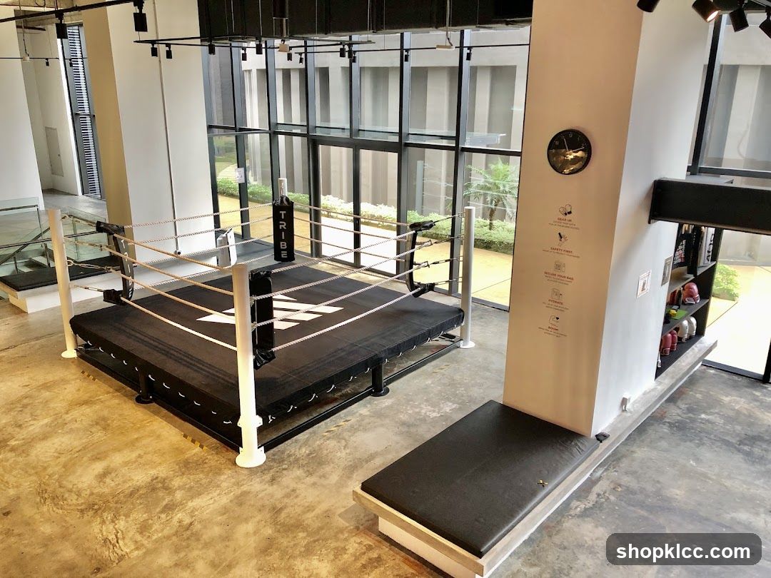 Boxing Ring and Gym Interior
