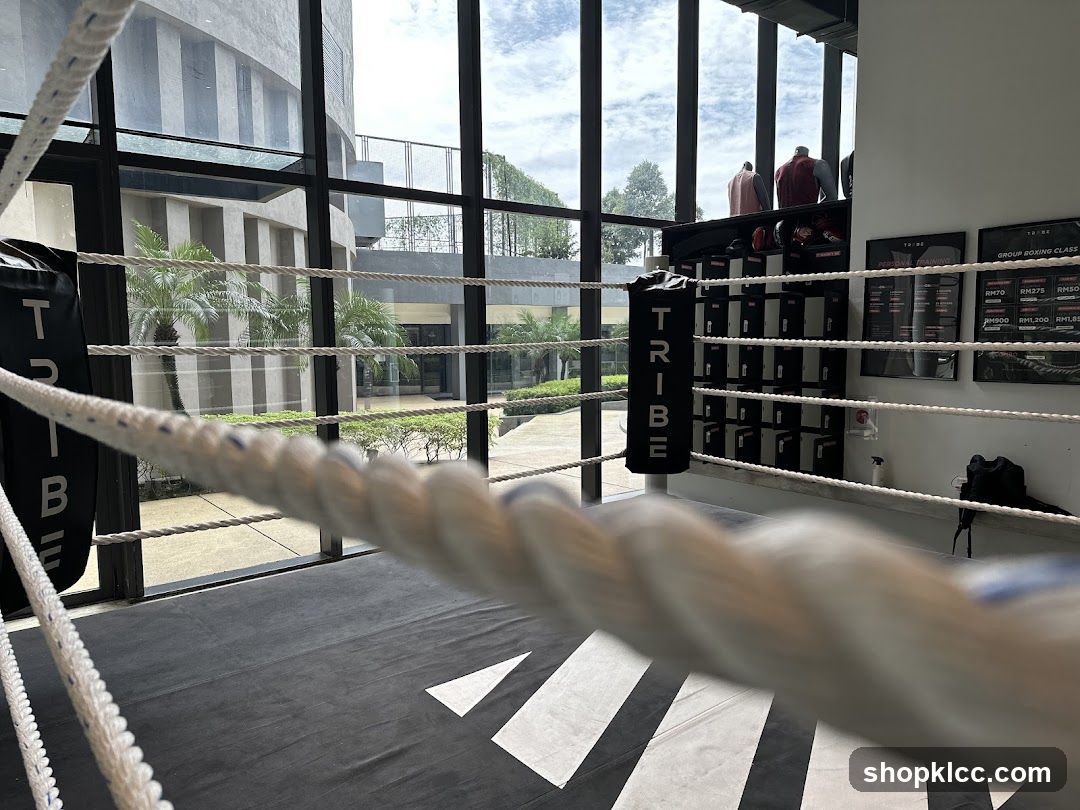 Boxing Ring Interior
