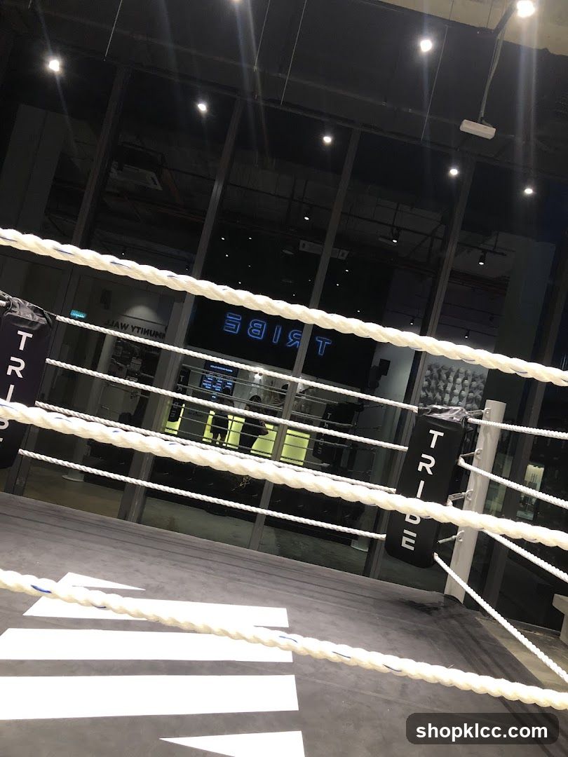 Boxing Ring Interior