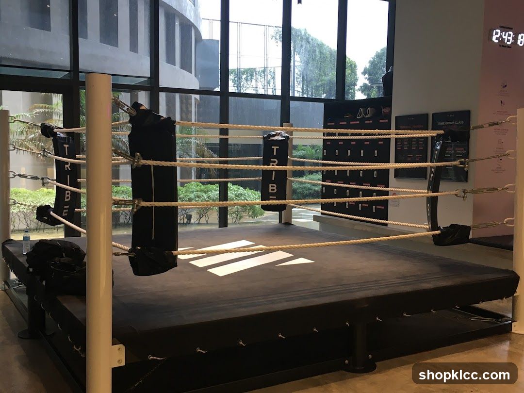 Boxing Ring