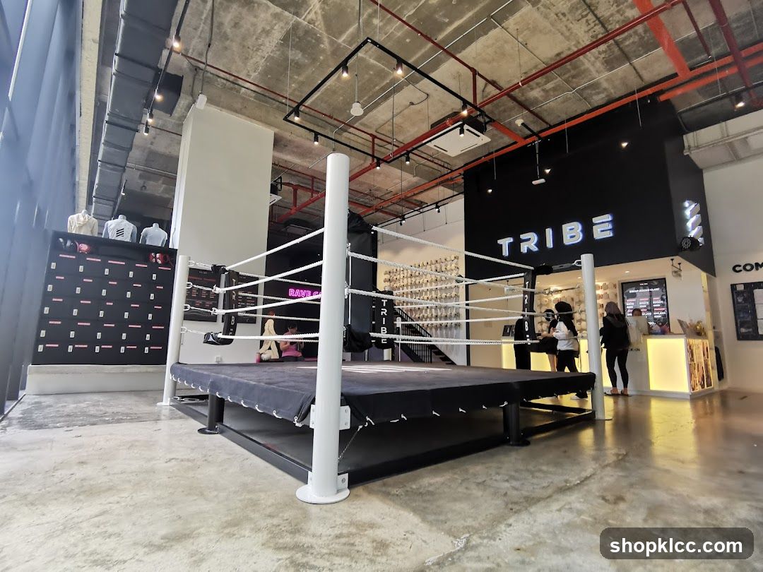 Tribe Boxing Gym Interior