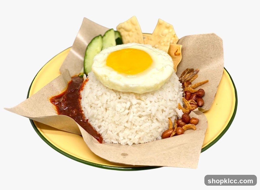 Nasi Lemak by Memang Meow