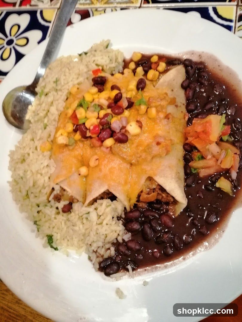 Enchiladas with Rice and Beans
