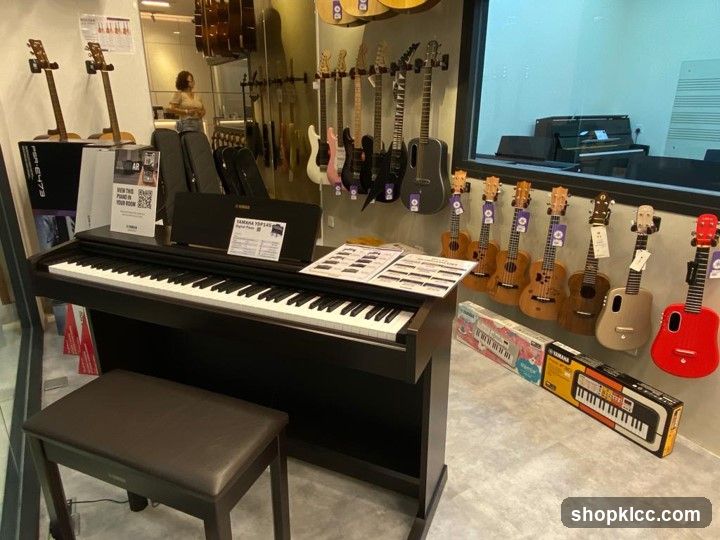 Musical Instruments Display
