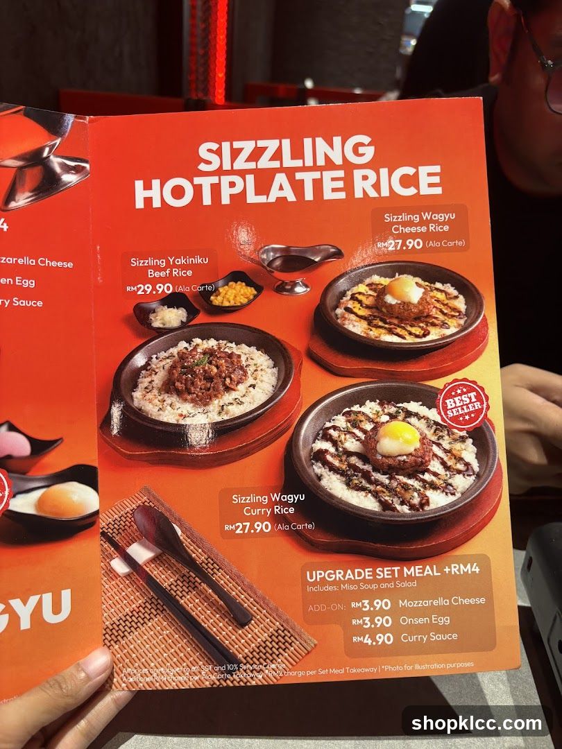 Sizzling Hotplate Rice