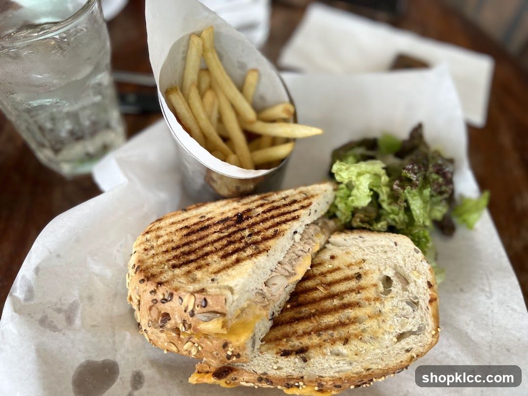Grilled Sandwich with Fries and Salad