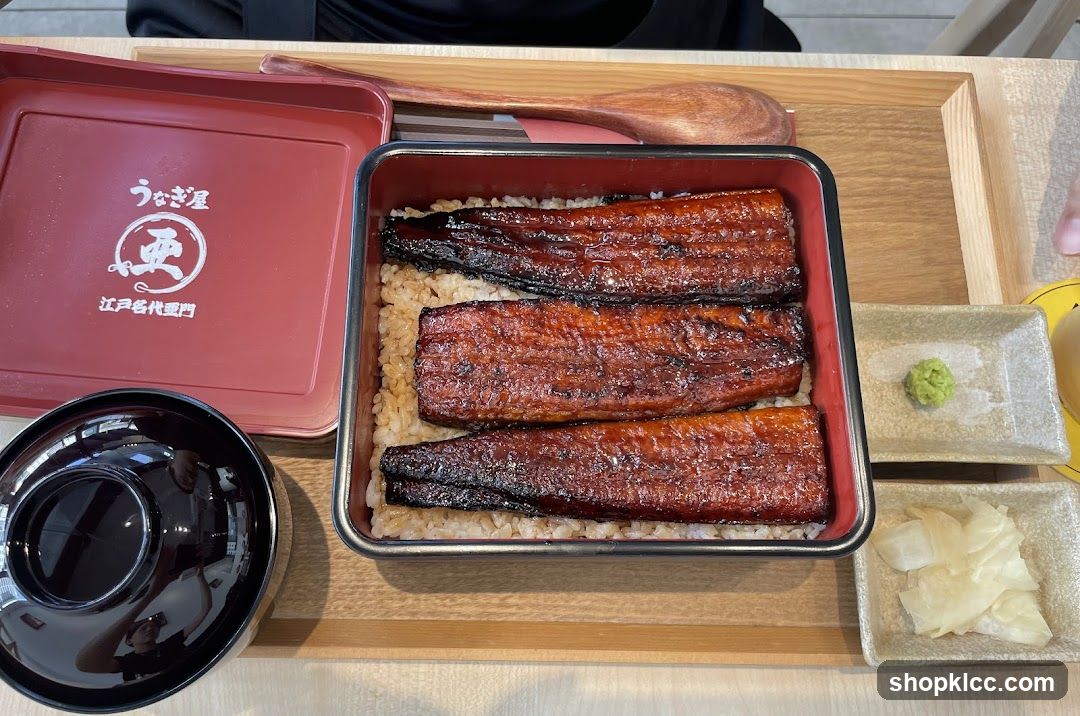 Unagi Donburi
