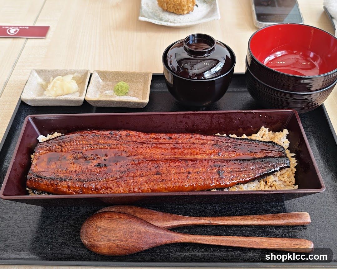 Unagi Donburi