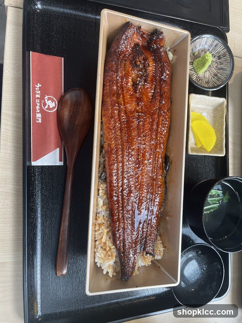 Unagi Donburi