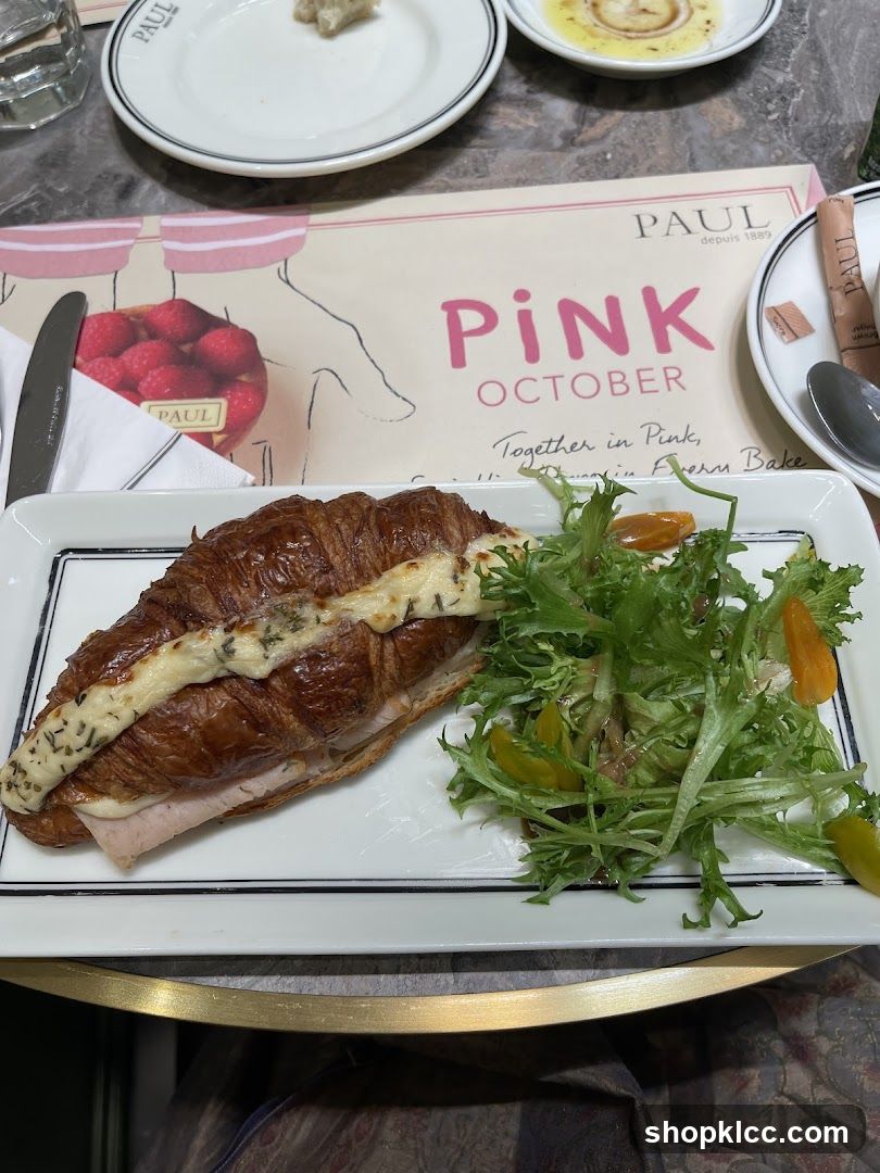 Croissant Sandwich with Salad