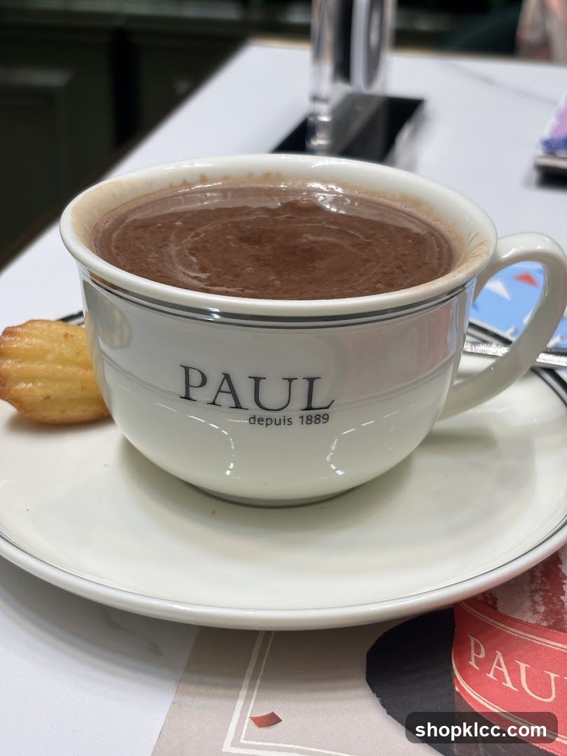 Hot Chocolate and Madeleine