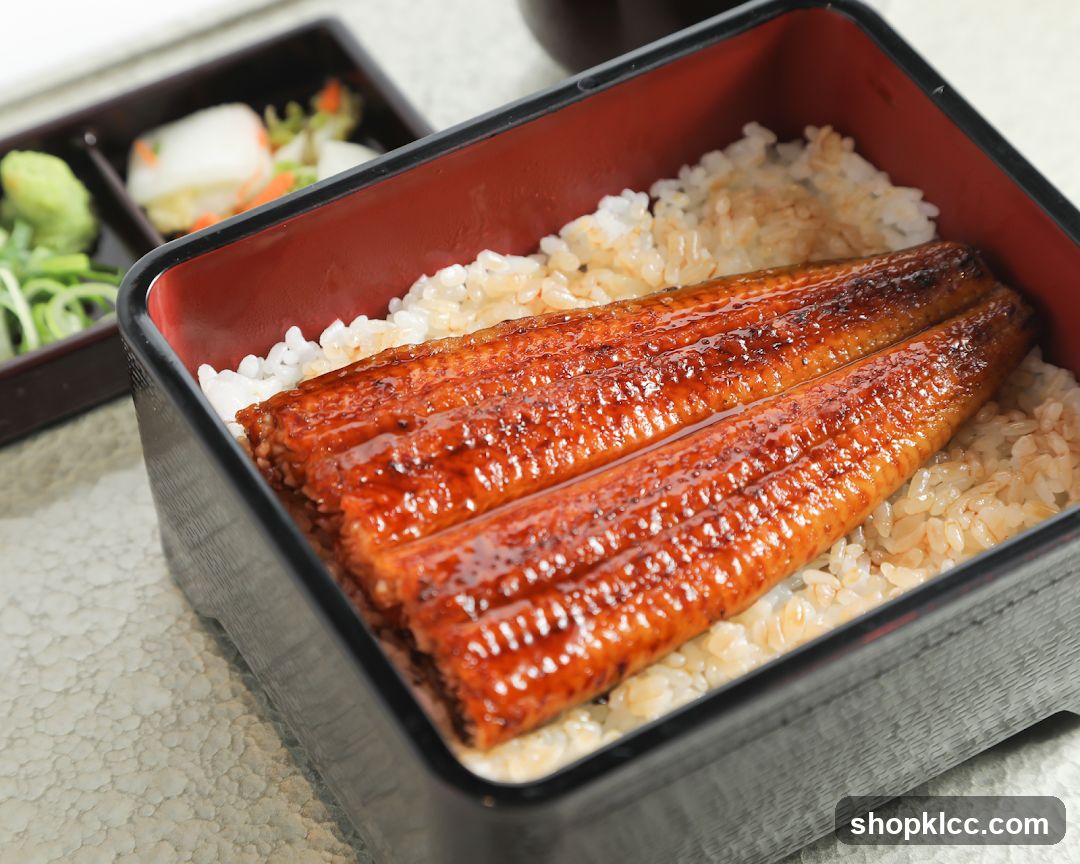Unagi Donburi