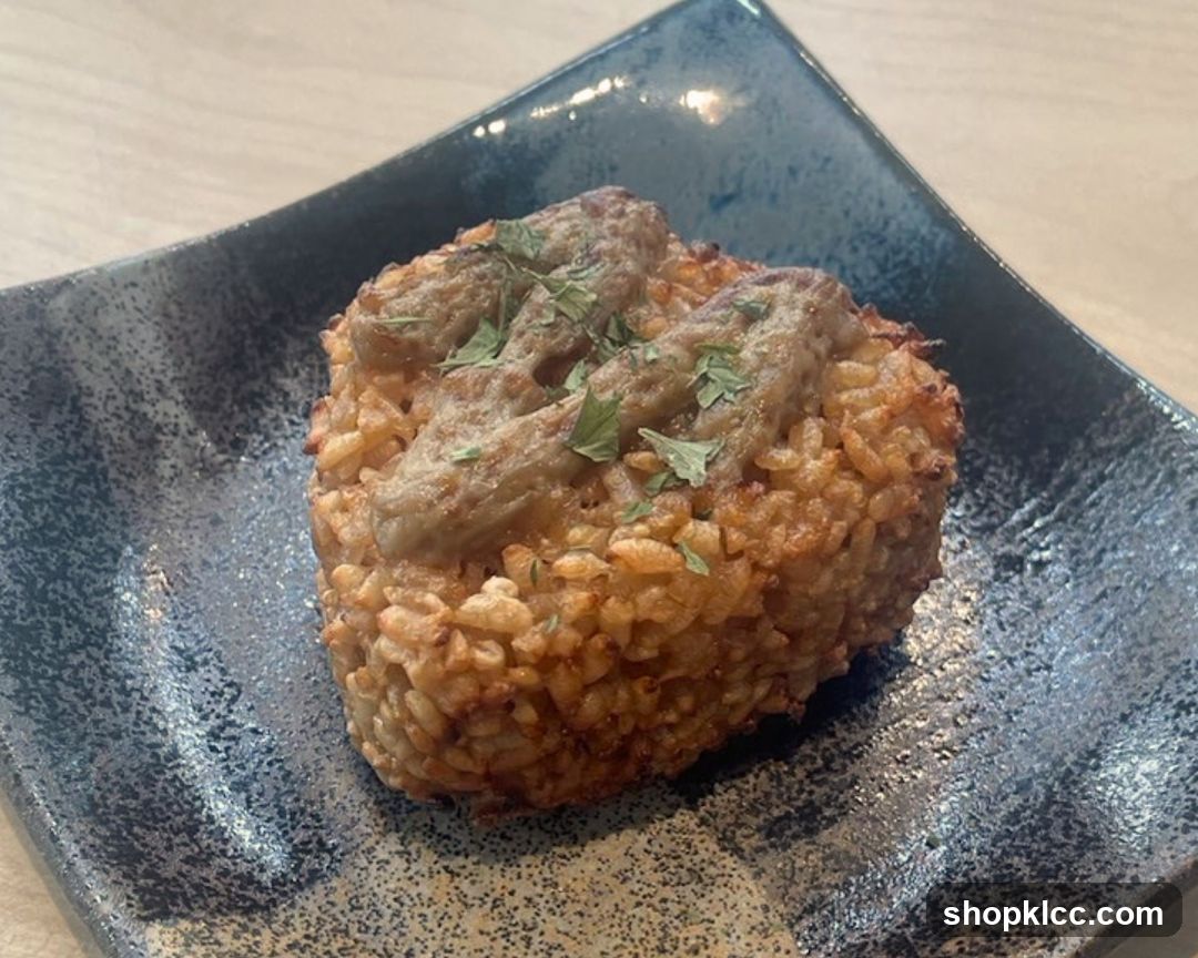Rice dish with topping