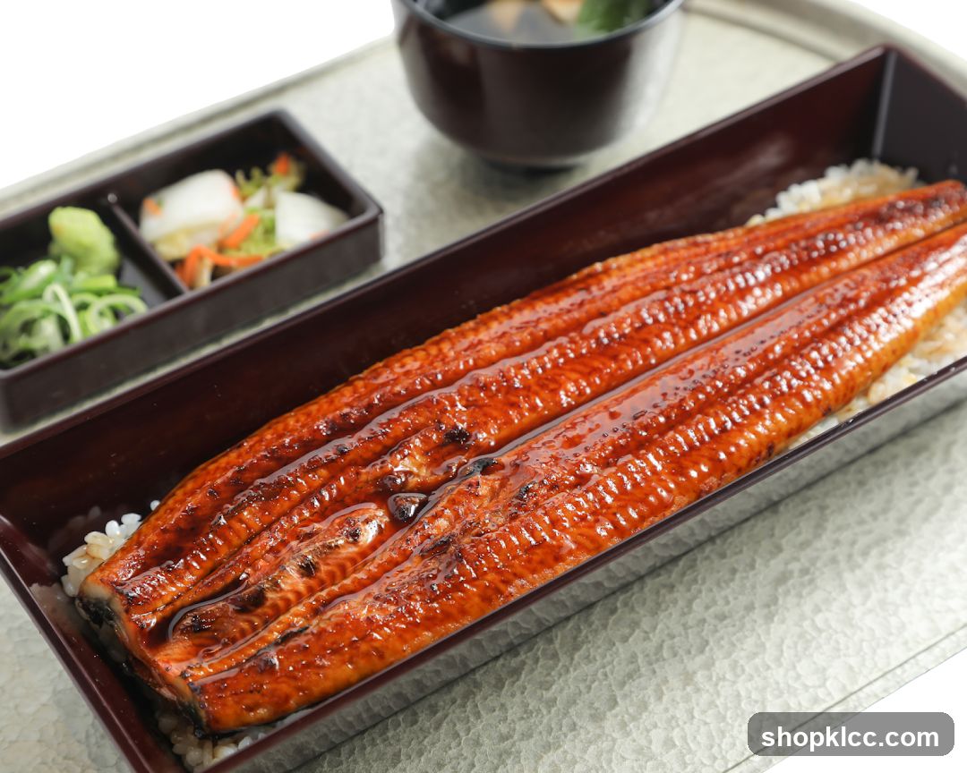 Unagi Donburi