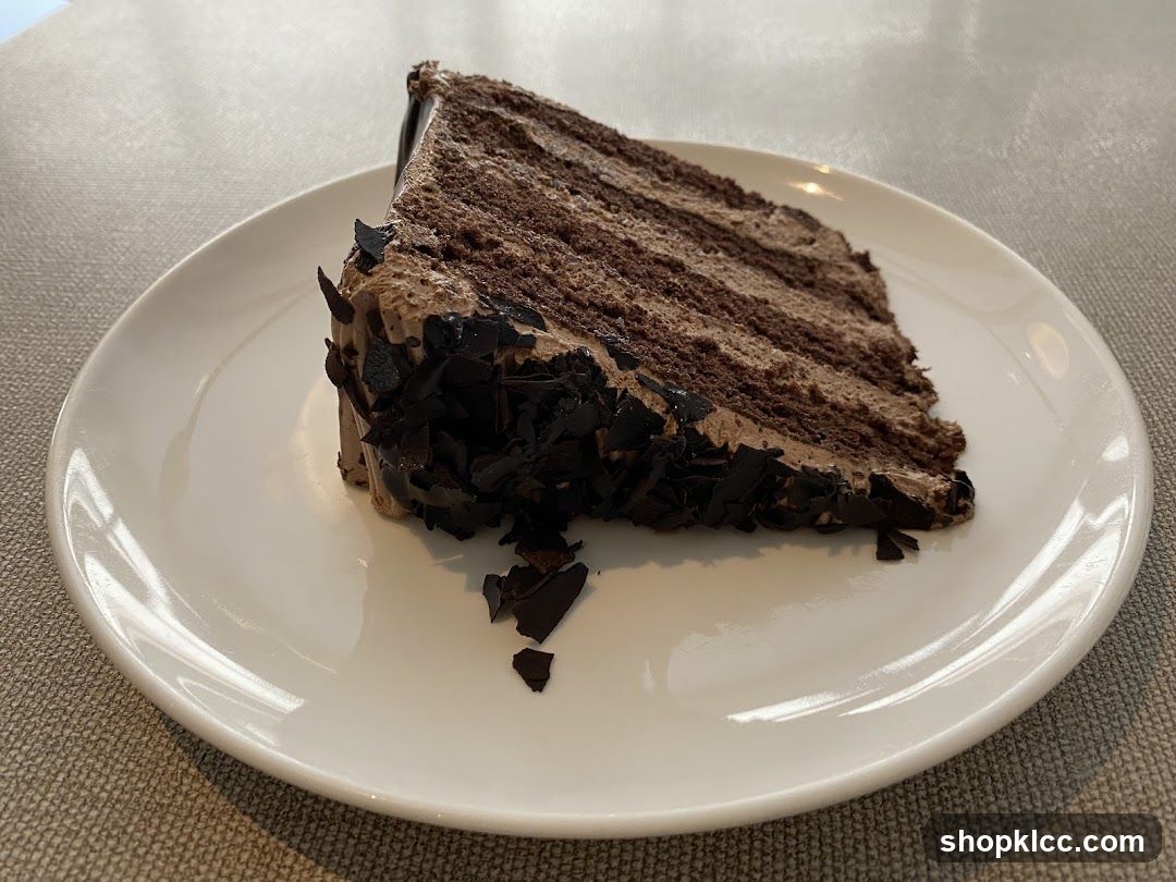 Chocolate Cake Slice
