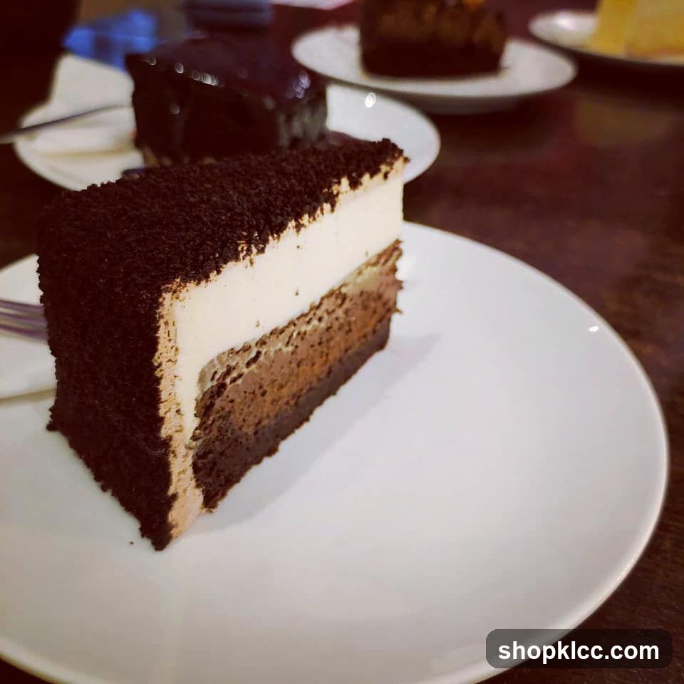 Chocolate Cake Slice