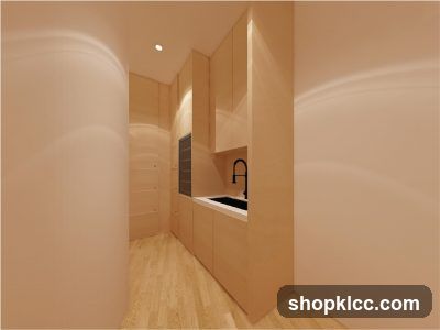 Modern Kitchenette with Wood Cabinetry