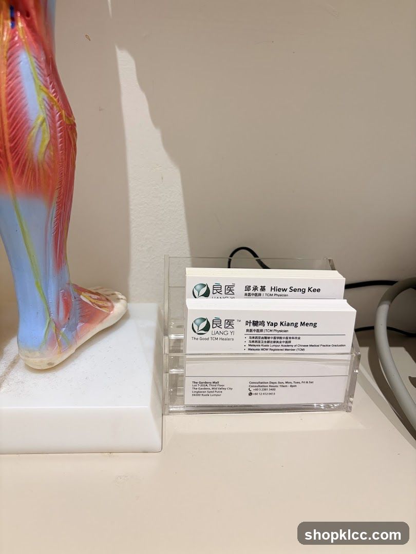 Business Cards and Anatomical Model