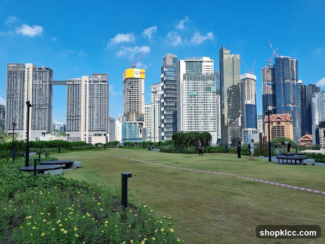 Rooftop park with city skyline