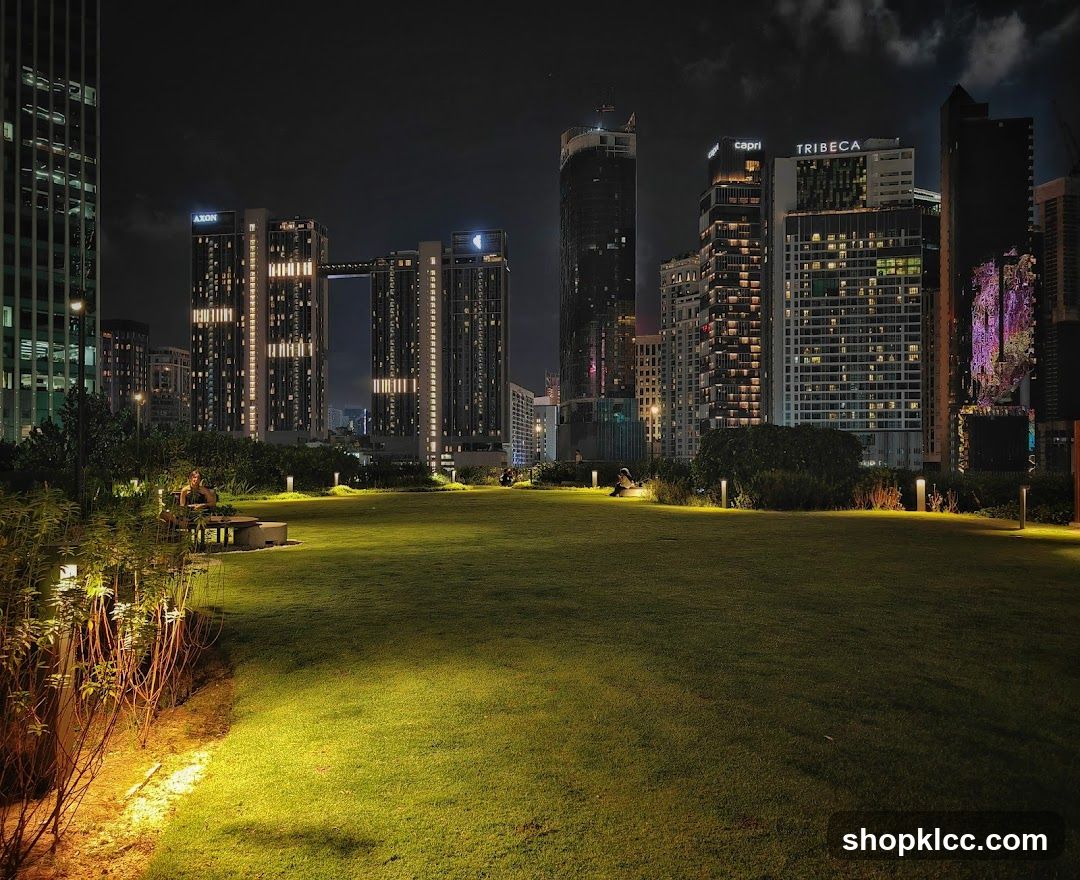 Cityscape at Night with Park