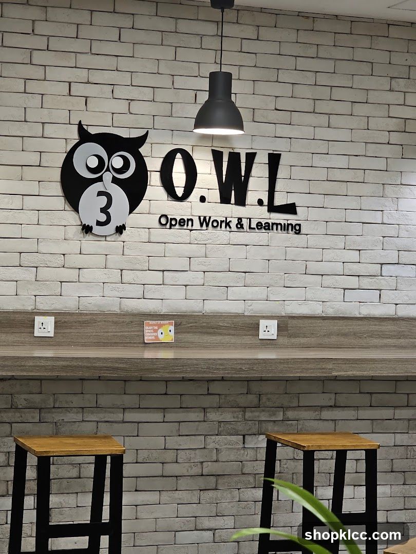 O.W.L. Open Work & Learning