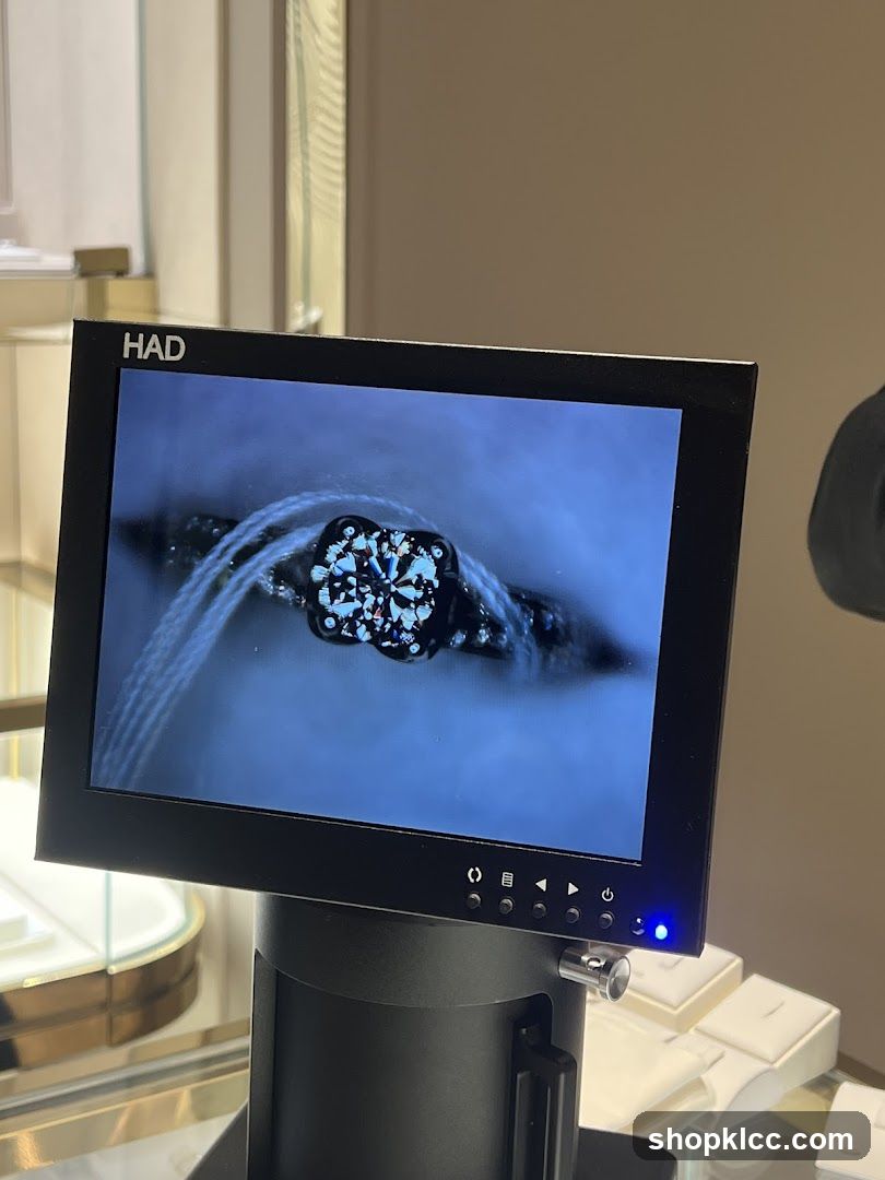 Jewelry Inspection Monitor