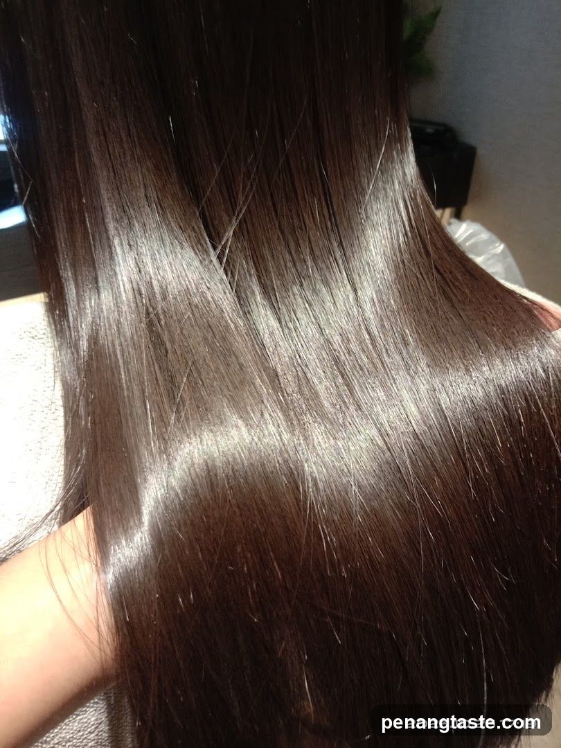Shiny Brown Hair