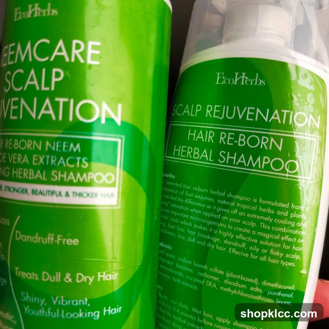 EcoHerbs Scalp Rejuvenation Herbal Shampoo