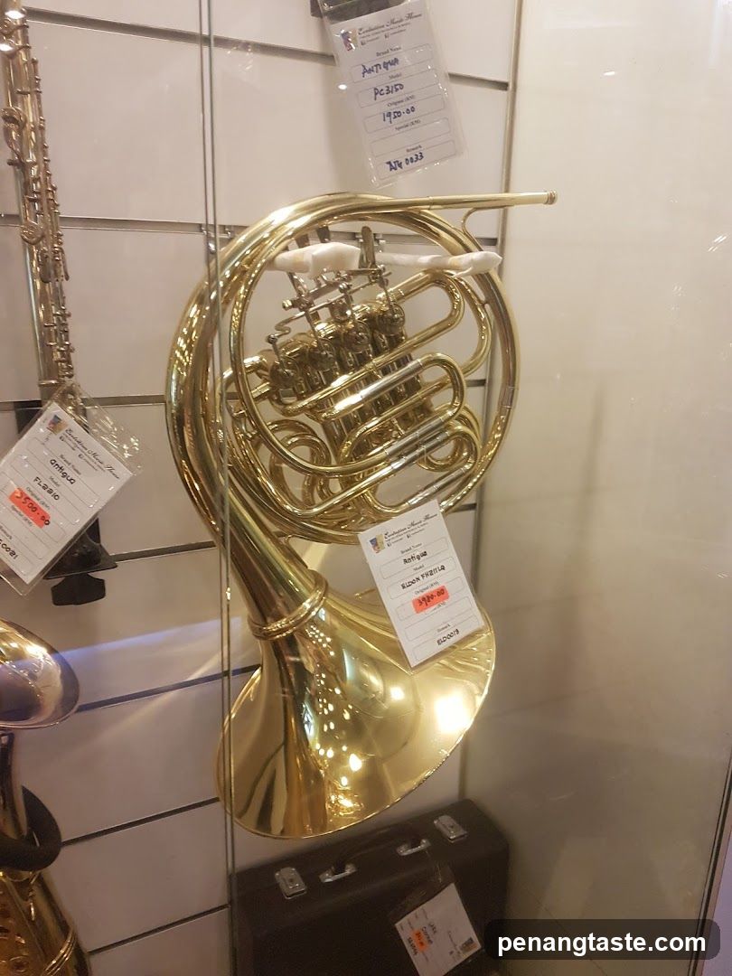 Musical Instruments Display