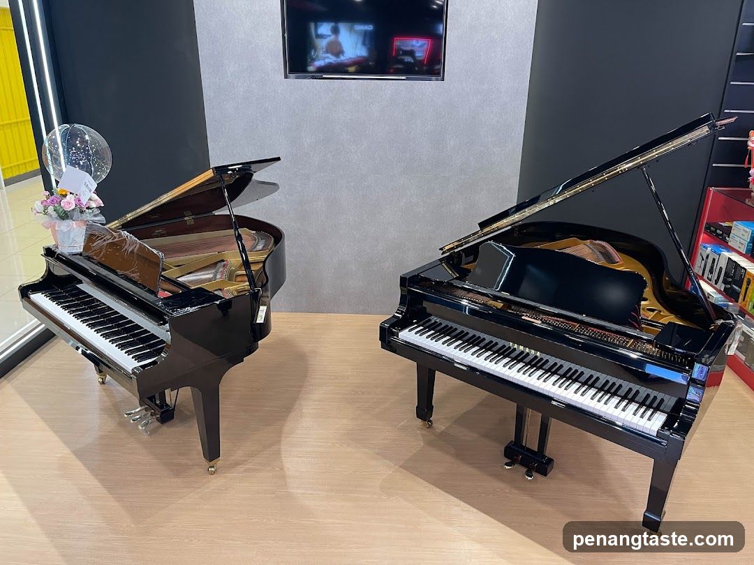 Two Grand Pianos on Display